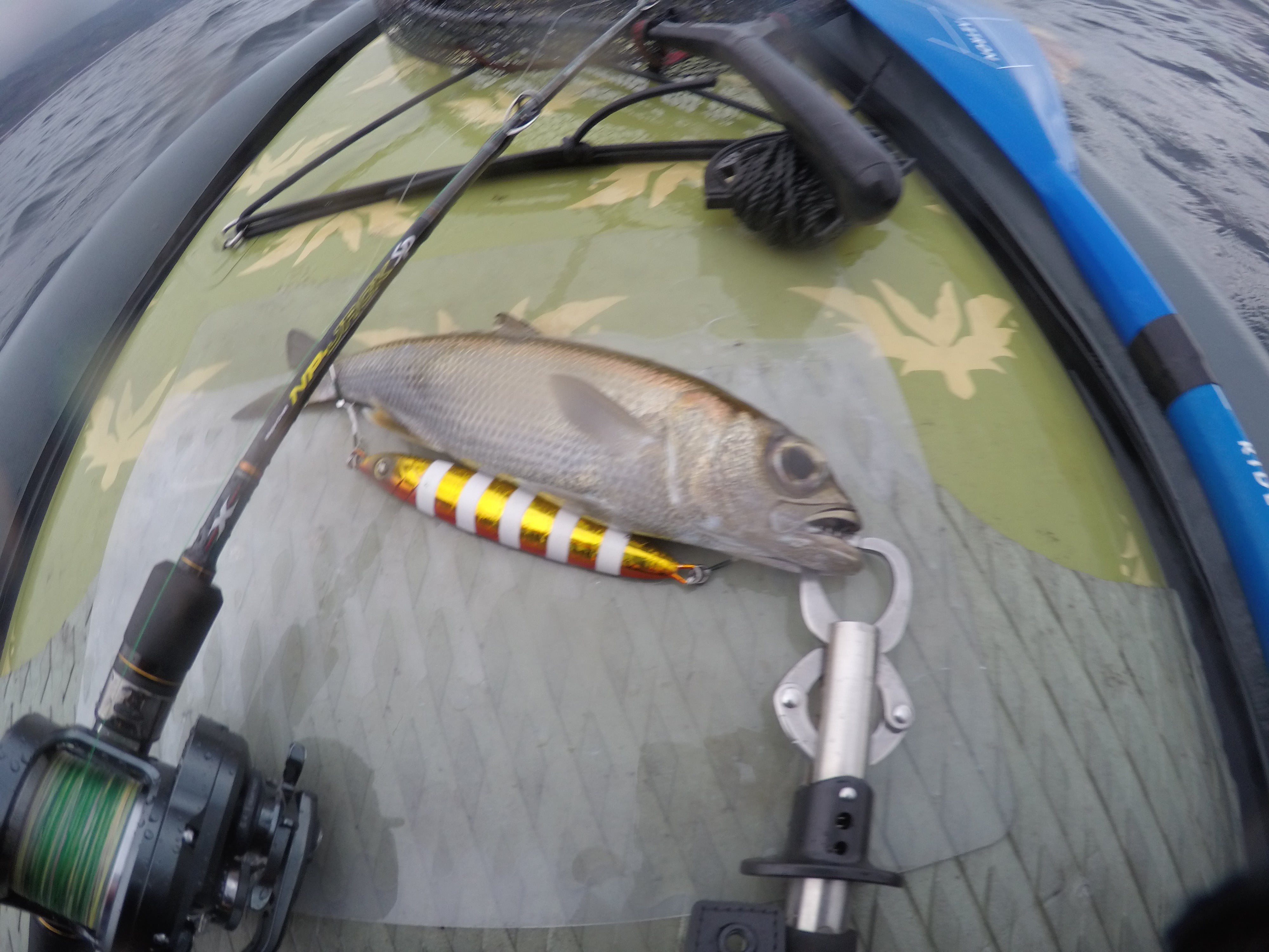 雨の日のSUPフィッシング