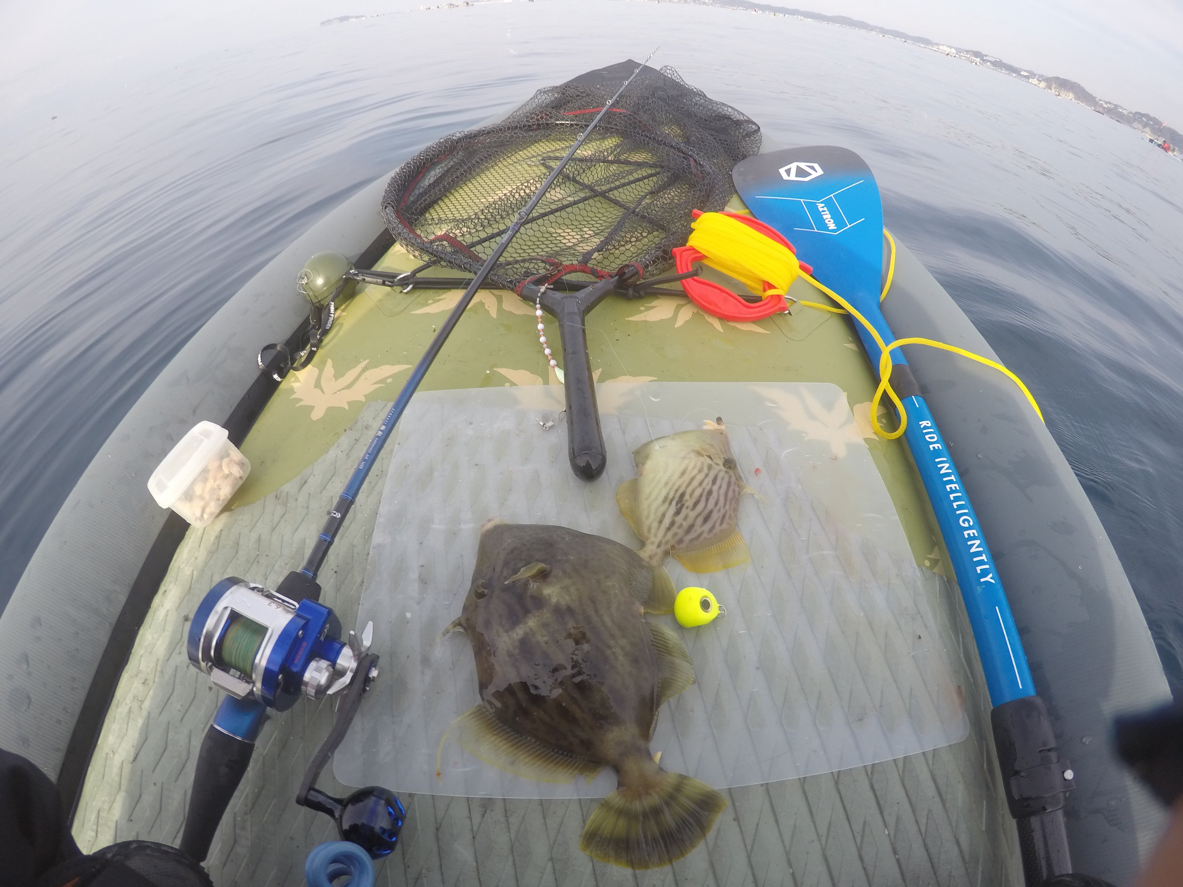 冬の肝パンカワハギを求めて