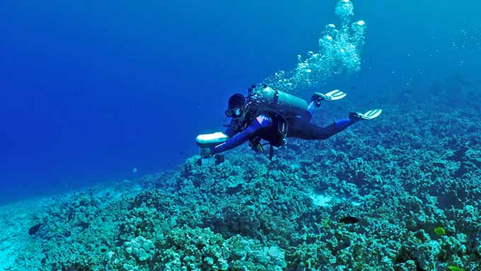 スキューバダイビング!上達してきました。