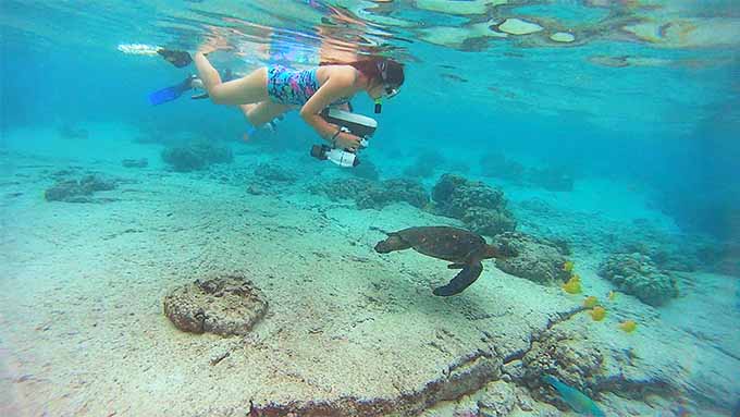 ウミガメさんを発見!一緒に泳いでみました。
