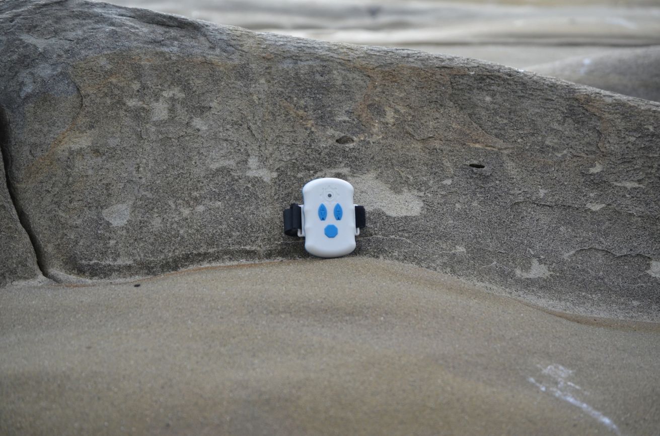 Bixpyエクストラ アウトボードリモート