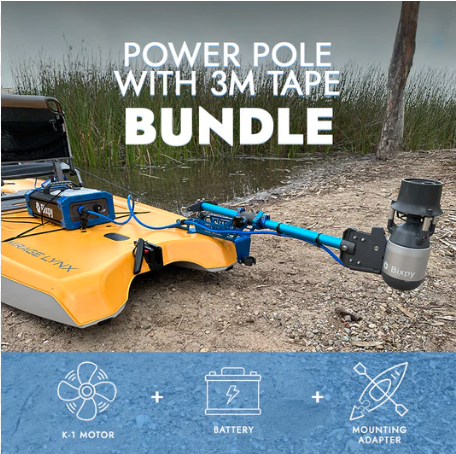 「あの日、潮に負けて諦めた魚がいる」